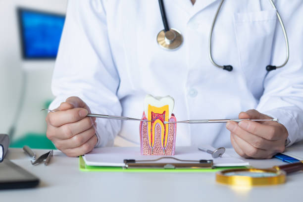 Best Emergency Treatment for Oral Infections in Garden View, PA